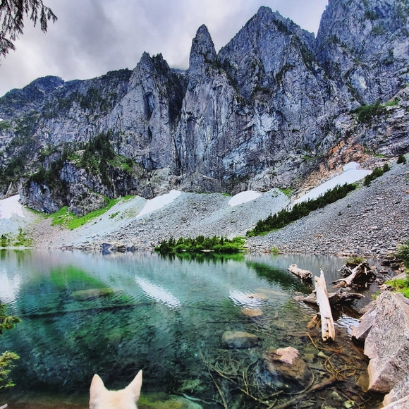 Meet your Posher, Didjah - Picture 1 of 1